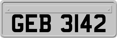 GEB3142