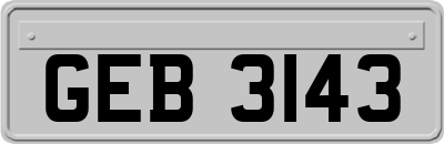 GEB3143