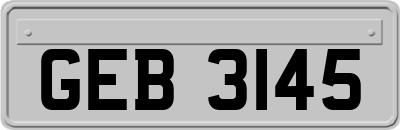 GEB3145