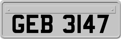 GEB3147