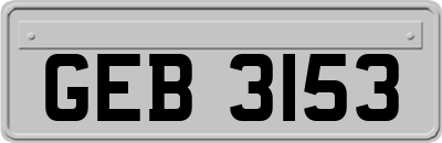 GEB3153