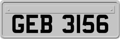 GEB3156
