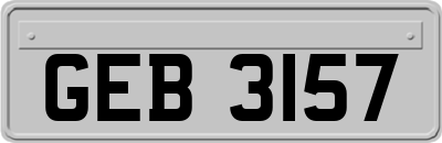 GEB3157