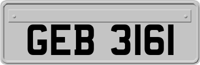 GEB3161