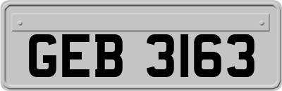 GEB3163