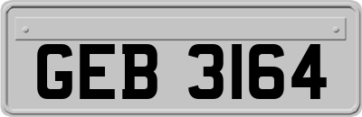 GEB3164