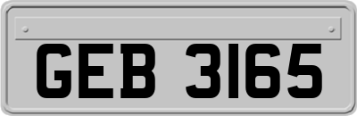 GEB3165
