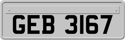 GEB3167