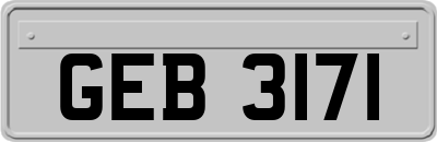 GEB3171