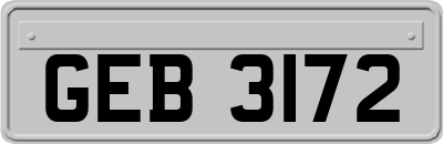 GEB3172
