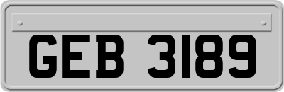GEB3189