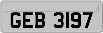 GEB3197