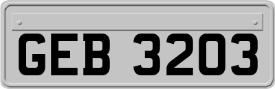GEB3203