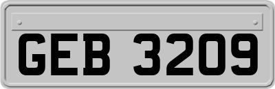 GEB3209