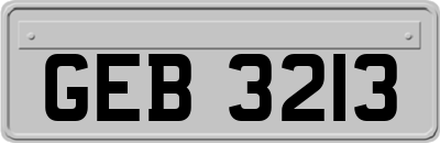 GEB3213