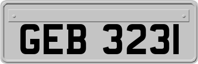 GEB3231