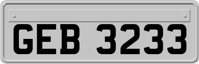 GEB3233