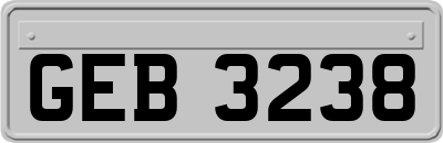 GEB3238