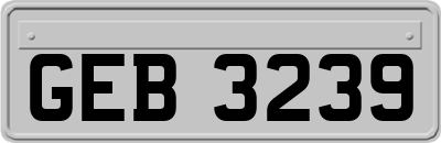 GEB3239