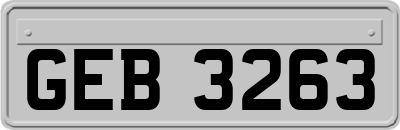 GEB3263