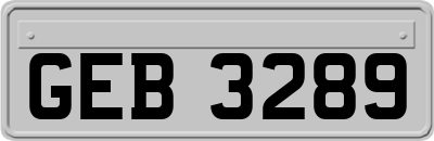 GEB3289