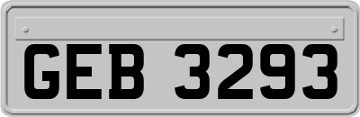 GEB3293