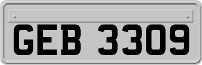GEB3309