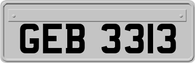 GEB3313