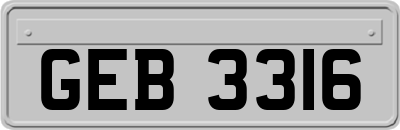 GEB3316