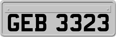 GEB3323