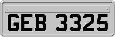 GEB3325
