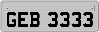 GEB3333