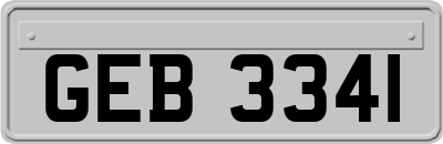 GEB3341
