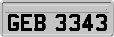 GEB3343