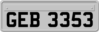 GEB3353