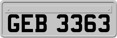 GEB3363