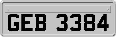 GEB3384