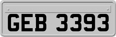 GEB3393