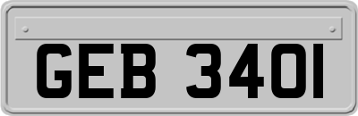 GEB3401