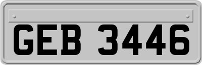 GEB3446