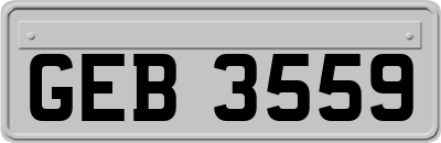 GEB3559