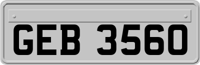 GEB3560