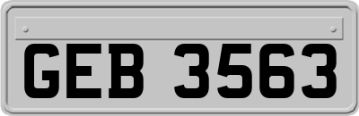 GEB3563