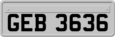 GEB3636