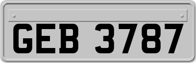 GEB3787