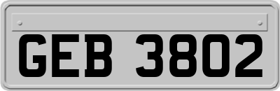 GEB3802