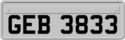 GEB3833