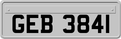 GEB3841