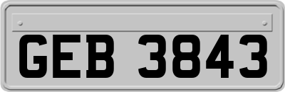 GEB3843