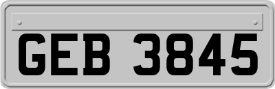 GEB3845